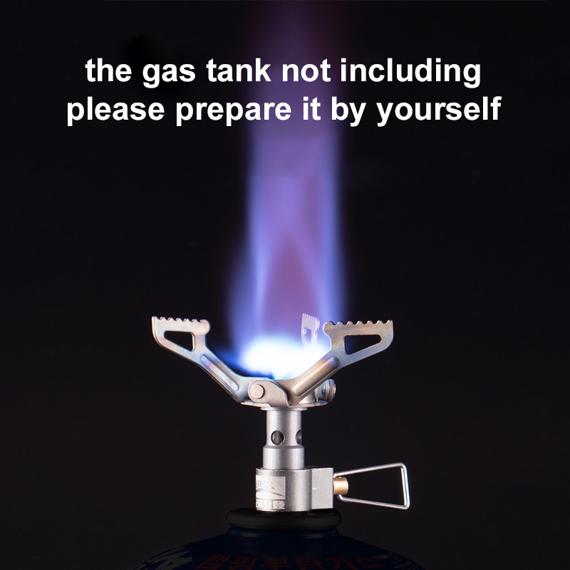 BRS-estufa de Gas para exterio - Cooking On Camping Stove reseña y precio
